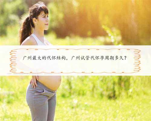 广州最大的代怀结构，广州试管代怀孕周期多久？