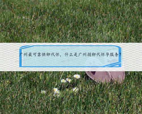 广州最可靠供卵代怀，什么是广州捐卵代怀孕服务？