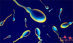 西安助孕：输卵管问题导致不孕与其怀疑不如试