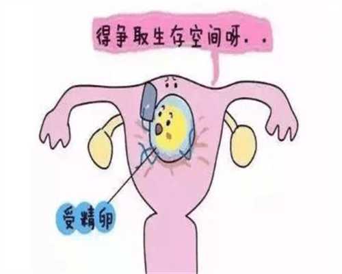 泰安代孕中介：广州肤康：金银花，是解暑神器