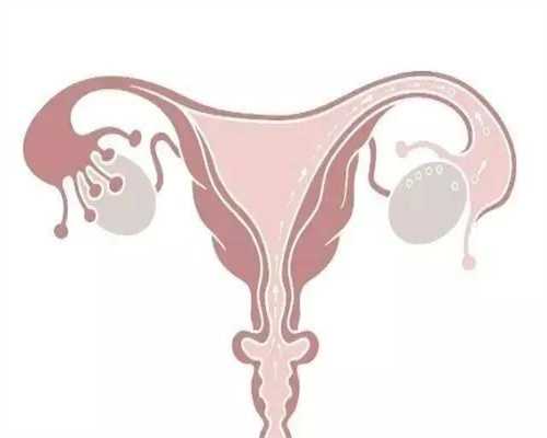 孕期营养与儿宁夏代孕妈妈童期及成年期的过敏