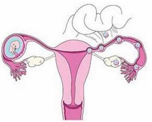 孕期变“蜜月期”有助胎教
