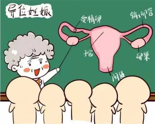 正规上海世纪代怀孕价格：代孕12周能看出男女不