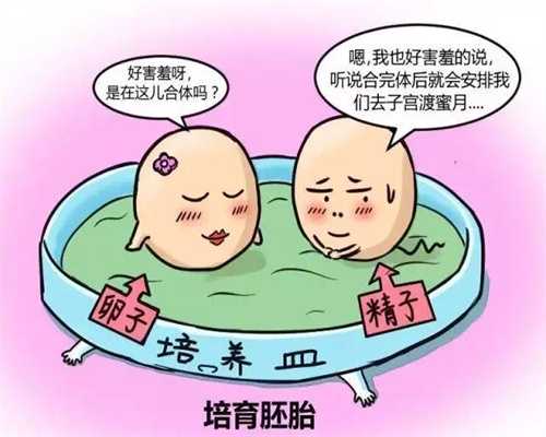 上海属于哪个省：代孕使手机降低辐射的方法