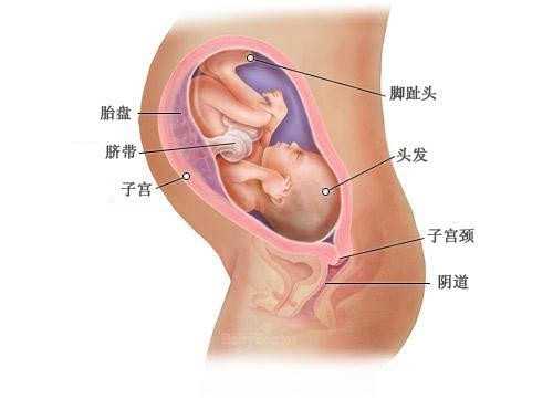 广州代孕网招收代妈代怀孕10天有什么反映