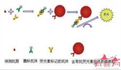 广州专业代孕代孕初期小腹痛有出血
