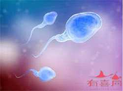 广州代孕产子费用能不能代孕，跟排卵期关系很