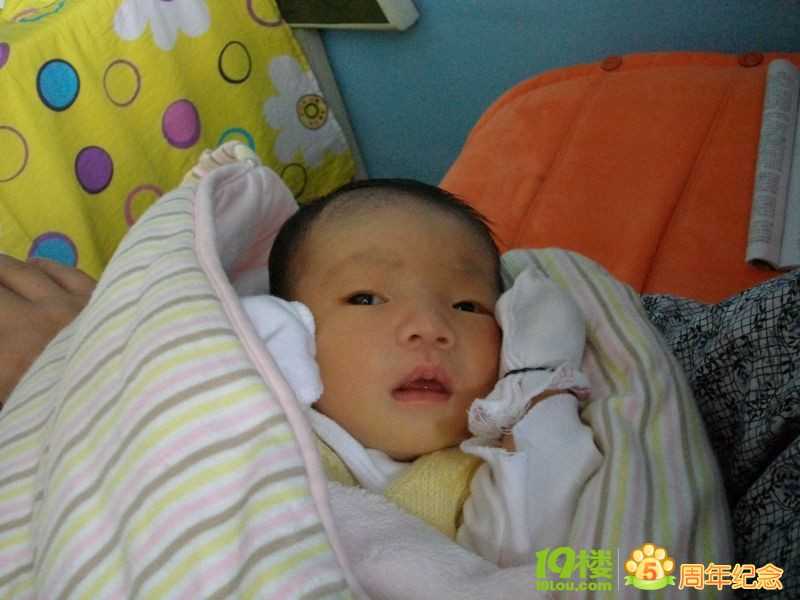 广州代孕产子费用能不能代孕，跟排卵期关系很