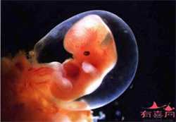 省广州代孕网,子宫内膜炎导致女性不孕女性做好