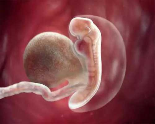 宁夏借卵子生子的血缘关系-宁夏代孕的法律依据