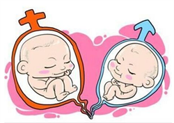 试管婴儿一般是男是女-国内哪家医院可以做代孕