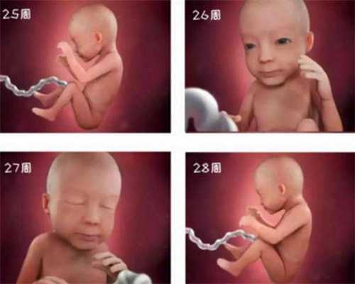 北京孕宝怀孕中心代孕价格_北京我的试管代孕婴