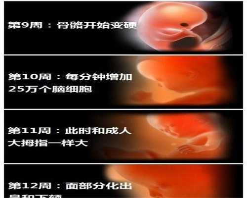 广州代孕生子-广州代孕生子-广州代孕包成功哪家