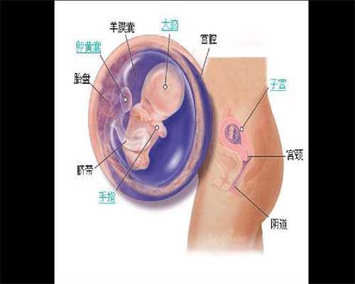 广州代孕-广州供卵经历-广州借卵子代孕几率大吗