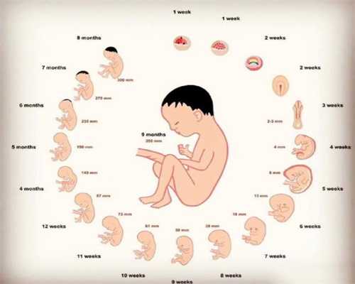 广州代孕-广州职业供卵代孕-广州卵巢早衰生孩子