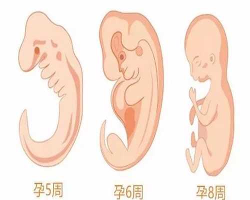 代孕最好的公司-2021中国代孕合法吗