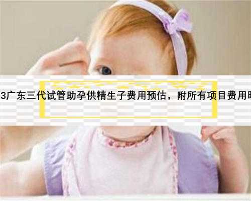 2023广东三代试管助孕供精生子费用预估，附所有项目费用明细